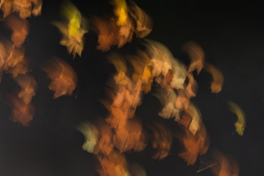 Photo Circadian Rhythm